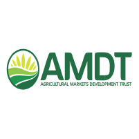 AMDT